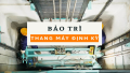 Bảo trì thang máy định kỳ là cần thiết hay chỉ là chi phí không đáng có?