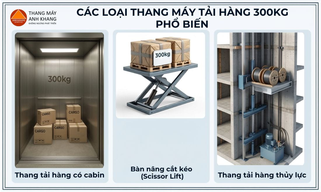 cac-loai-thang-may-tai-hang-300kg-pho-bien
