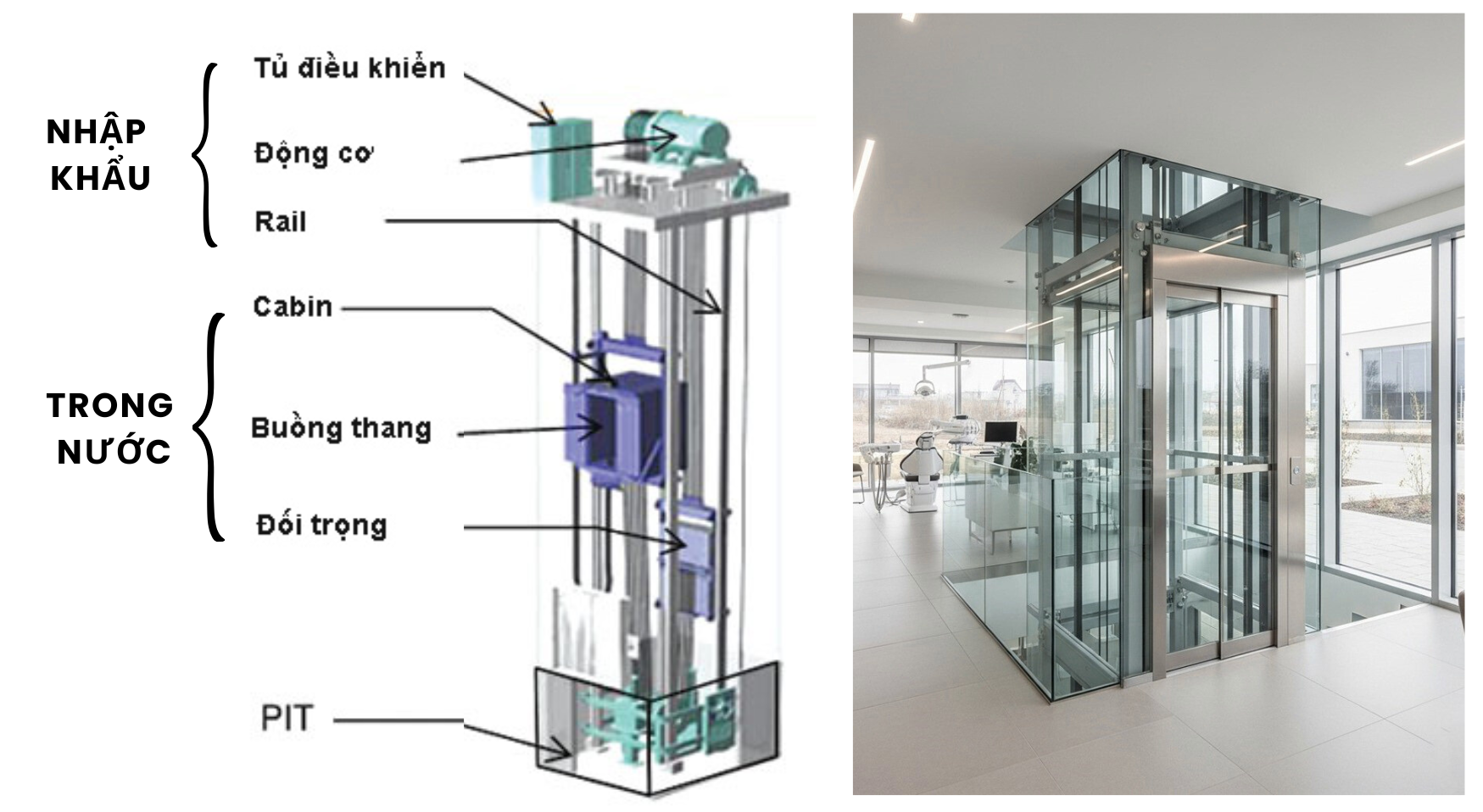 cau-tao-thang-may-lien-doanh